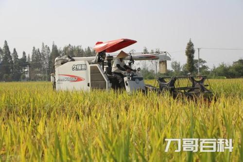 农业局是做什么的（农业局管理范围是好单位吗）