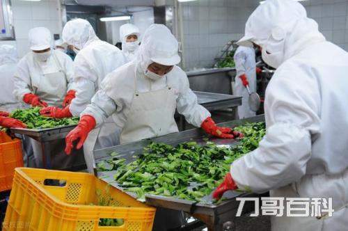 农业局是做什么的（农业局管理范围是好单位吗）