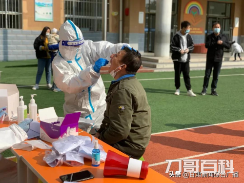 为什么手机上查不到检验报告（已经做过核酸查询不到）