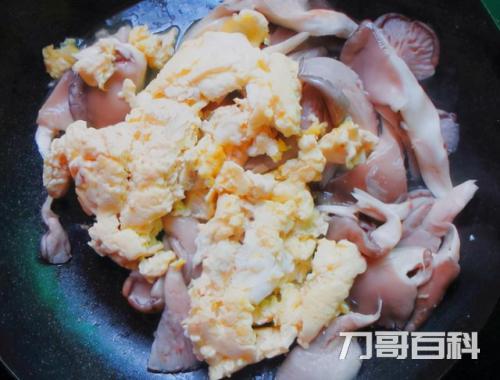 炒平菇要不要焯水有滑滑的东西（平菇没有焯水会中毒吗）