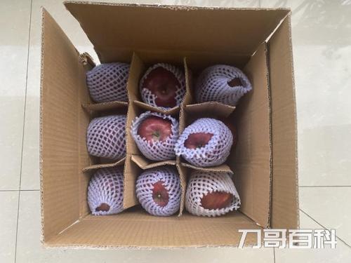 哪个地方的苹果最好吃（中国十大优质苹果产地）