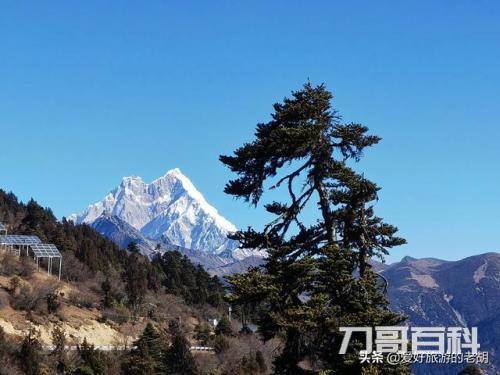 318此生必驾什么意思（新手走318进藏危险吗）