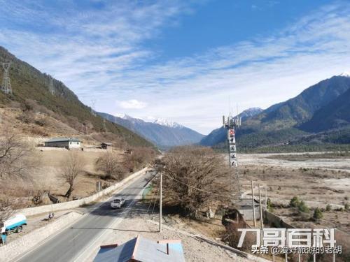 318此生必驾什么意思（新手走318进藏危险吗）