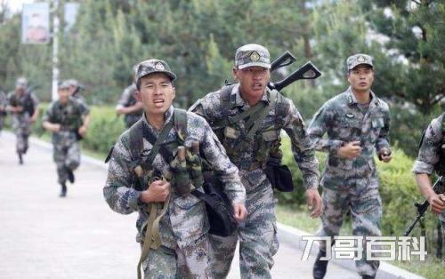 当兵12年后能分配到什么工作（当兵12年转业有编制吗）