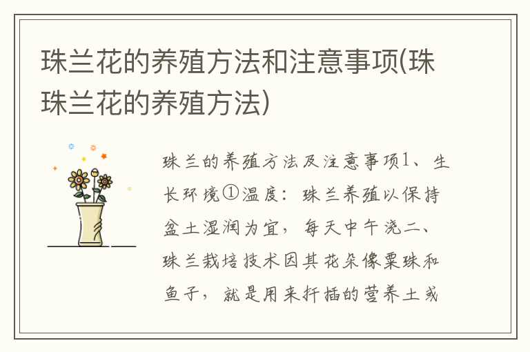 珠兰花的养殖方法和注意事项(珠珠兰花的养殖方法)
