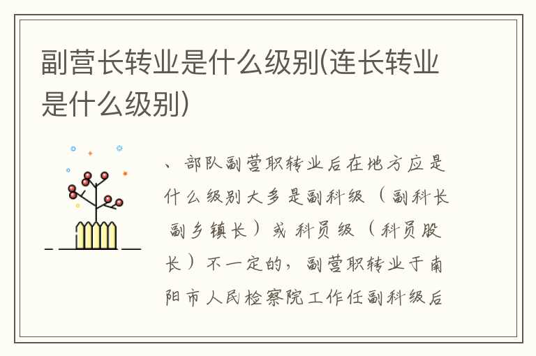 副营长转业是什么级别(连长转业是什么级别)