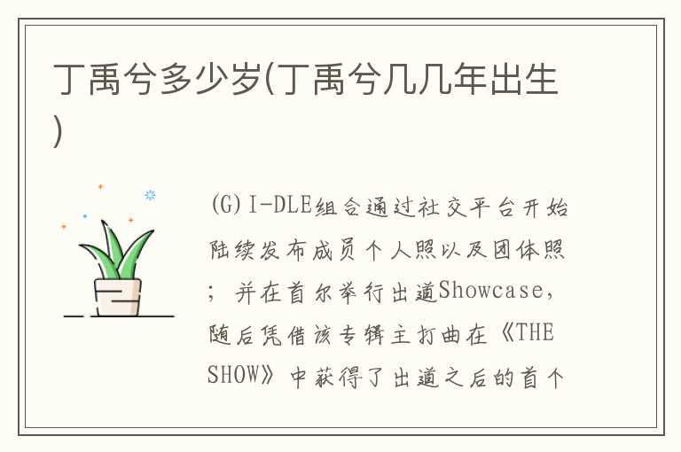 丁禹兮多少岁(丁禹兮几几年出生)