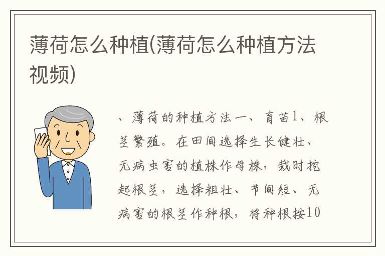 薄荷怎么种植(薄荷怎么种植方法视频)