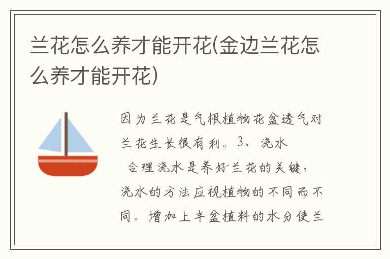 兰花怎么养才能开花(金边兰花怎么养才能开花)