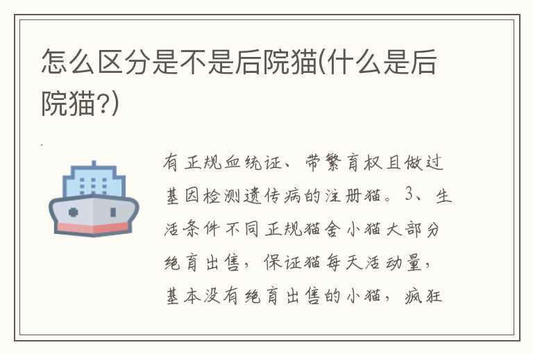 怎么区分是不是后院猫(什么是后院猫？)