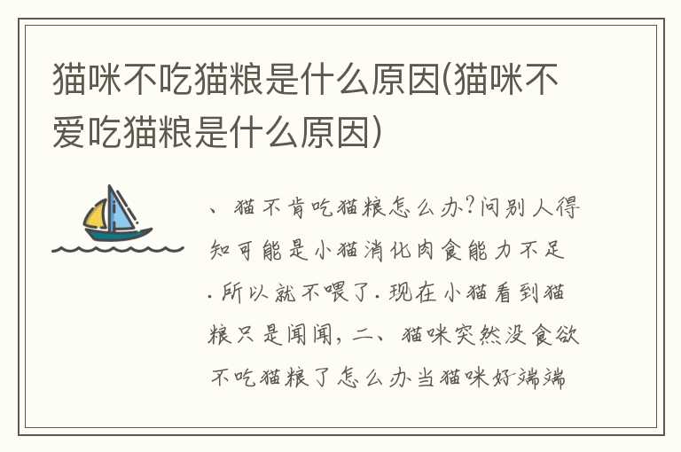 猫咪不吃猫粮是什么原因(猫咪不爱吃猫粮是什么原因)