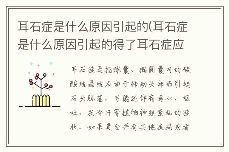 耳石症是什么原因引起的(耳石症是什么原因引起的得了耳石症应该注意那些)