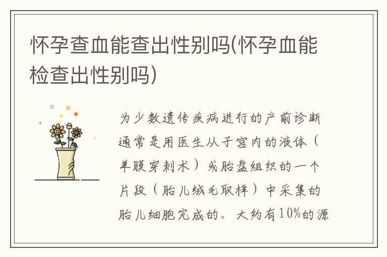 怀孕查血能查出性别吗(怀孕血能检查出性别吗)