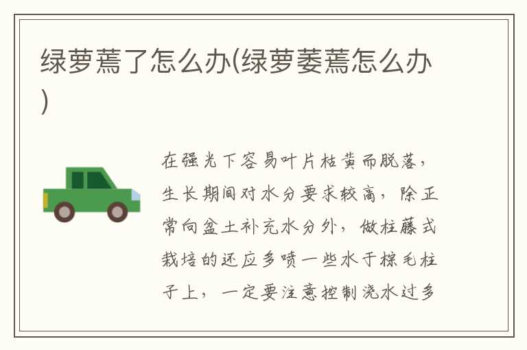 绿萝蔫了怎么办(绿萝萎蔫怎么办)
