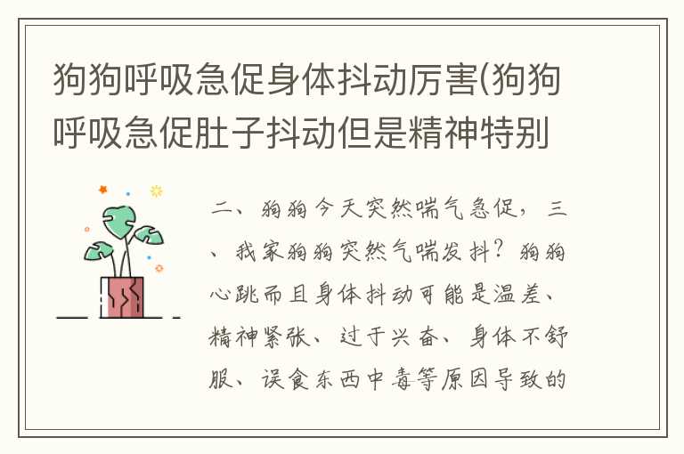 狗狗呼吸急促身体抖动厉害(狗狗呼吸急促肚子抖动但是精神特别好)