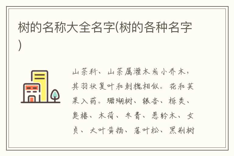 树的名称大全名字(树的各种名字)