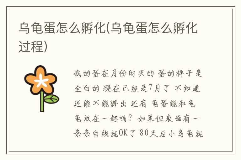乌龟蛋怎么孵化(乌龟蛋怎么孵化过程)