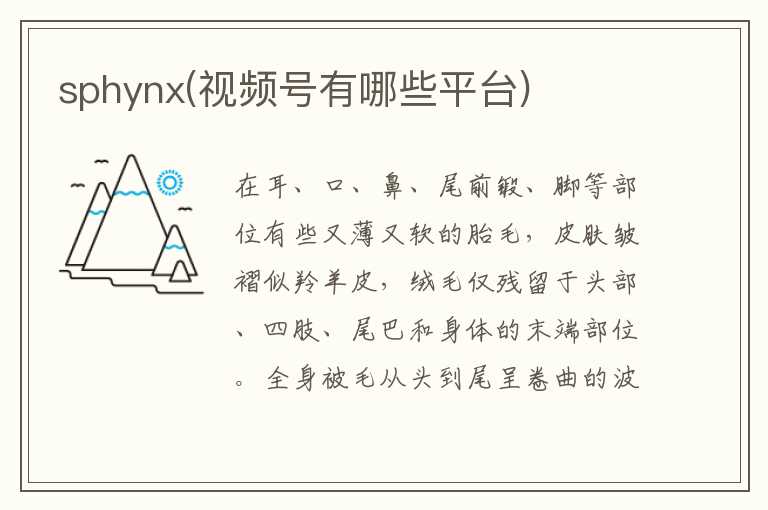 sphynx(视频号有哪些平台)