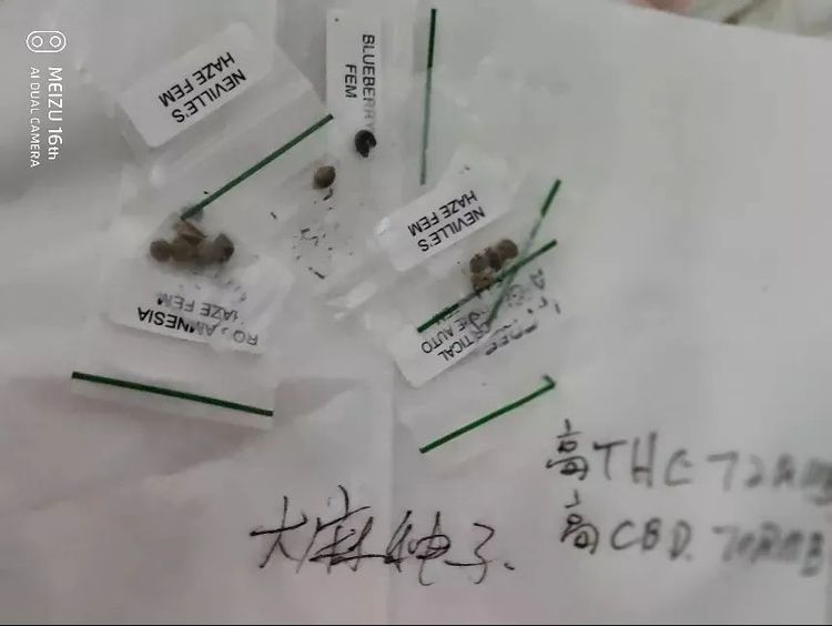 温州摧毁用虚拟币交易贩毒团伙 互联网绝非法外之地