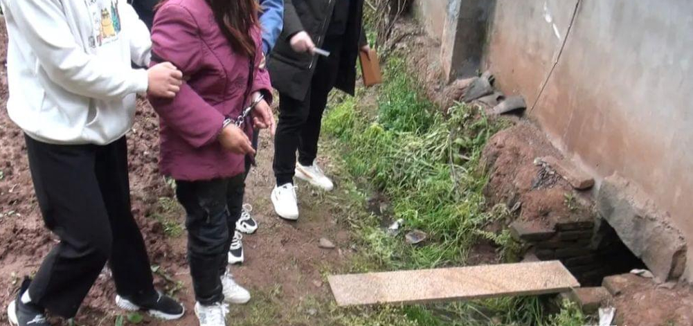 两孙女被奶奶推拉进粪坑溺亡 精神病何时成为了免死金牌? 