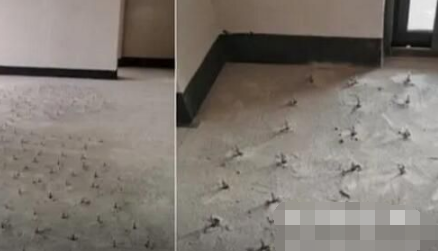 重庆一位业主收房看到地面密密麻麻冒出一片螺丝 原因让他匪夷所思