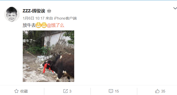 广东女生点奶茶中奖一头奶牛 去年点14万元外卖 网友:让你喝到饱