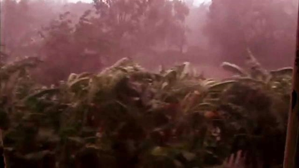 连下两个月红雨、凭空释放50吨红色颗粒:2001年的印度经历了什么 连下两个月红雨、凭空释放50吨红色颗粒:2001年的印度经历了什么