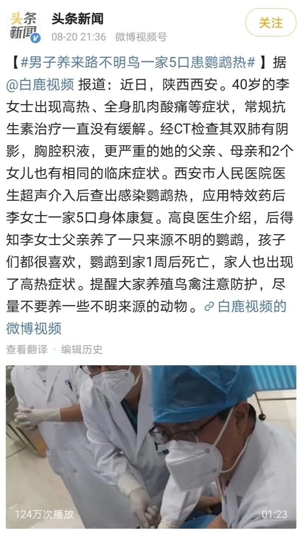 一家5口突发高烧、全身乏力 “元凶”竟然是来源不明的鹦鹉