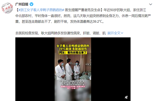 一家5口突发高烧、全身乏力 “元凶”竟然是来源不明的鹦鹉