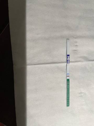 journal_insert_pic_1685006841