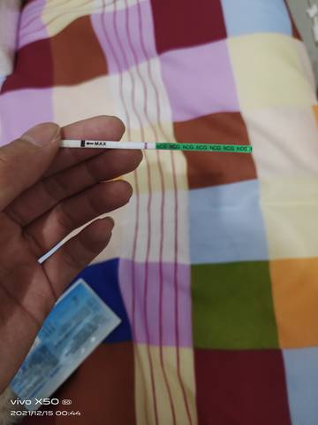 journal_insert_pic_1680061534