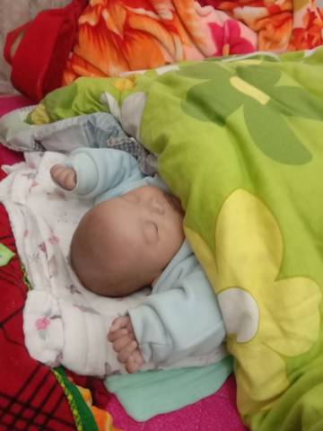 journal_insert_pic_1678623226