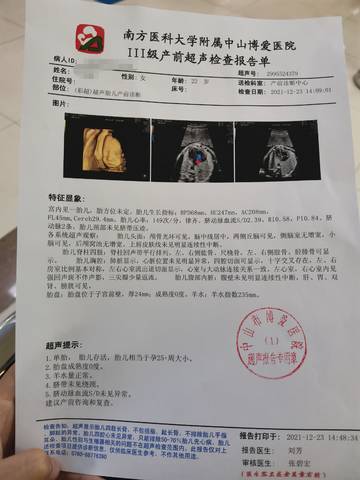 journal_insert_pic_1685054824