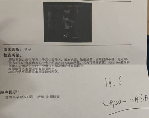 journal_insert_pic_1688573505