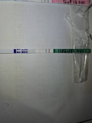 journal_insert_pic_1682705258