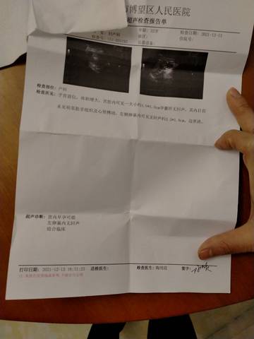 journal_insert_pic_1679224541