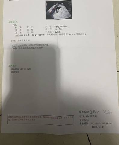 journal_insert_pic_1685392251