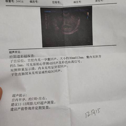 journal_insert_pic_1673228924