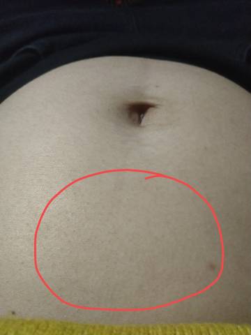 journal_insert_pic_1685599186