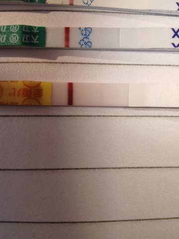 journal_insert_pic_1685378279