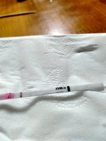 journal_insert_pic_1673778907