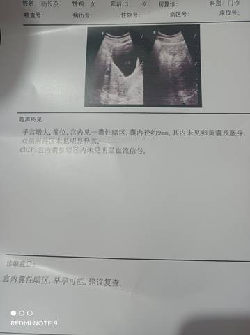 journal_insert_pic_1681219384