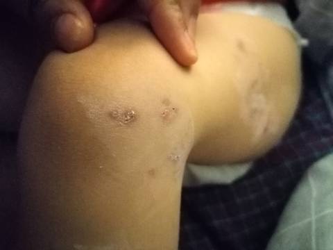 journal_insert_pic_1677083618