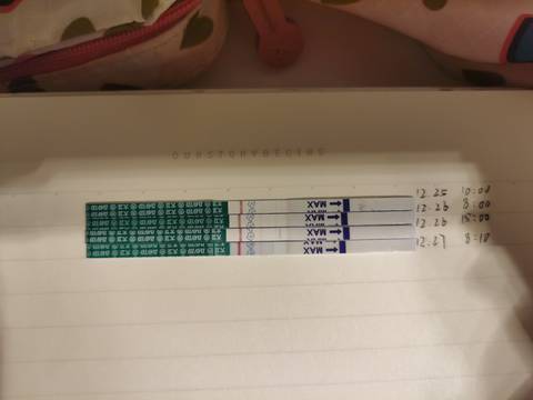 journal_insert_pic_1687207640