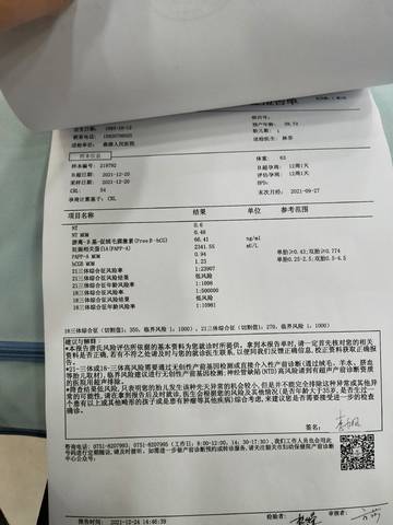journal_insert_pic_1686993375