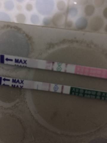 journal_insert_pic_1687512224