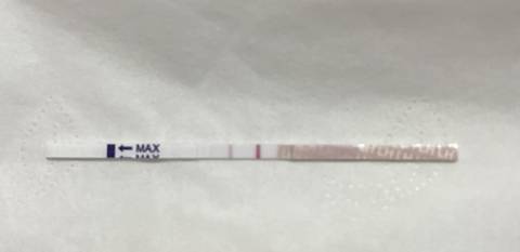 journal_insert_pic_1677537359