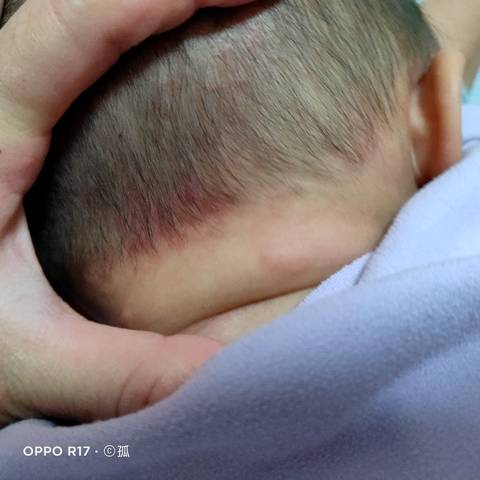 journal_insert_pic_1719526609