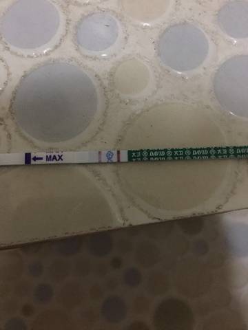 journal_insert_pic_1688720613