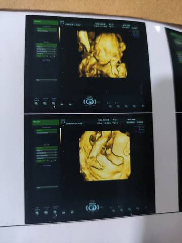 journal_insert_pic_1681084299